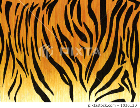 A tiger pattern A tiger pattern 1036120