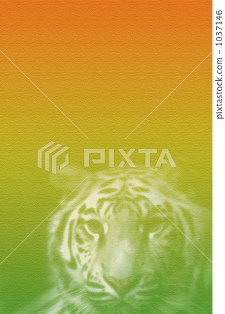 New Year's Tiger Gradation 1037146