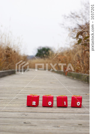 Gift 2010 Gift 2010 1037201