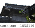 under the eaves, green leaf, crane 1038119