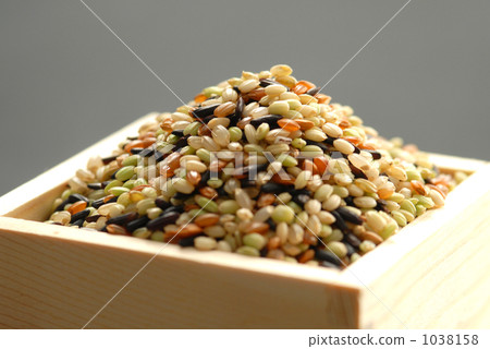 五穀 古稻 玉米 1038158