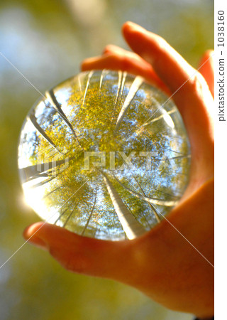 水晶球 玻璃 竹叢 1038160