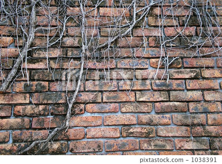 Brick wall Brick wall 1038391