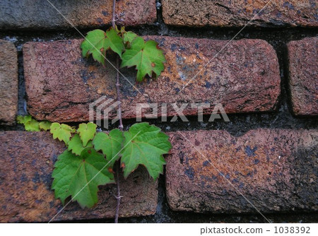 Brick wall Brick wall 1038392