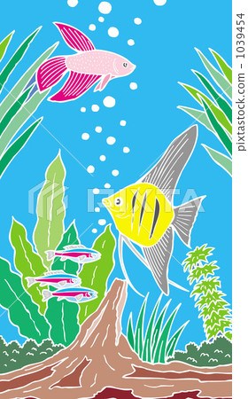 Tropical fish 200913_36 1039454