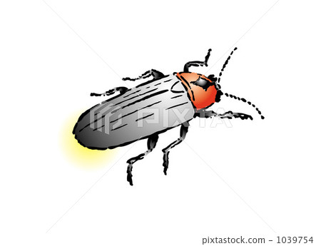 Hotaru 200910_68 - Stock Illustration [1039754] - PIXTA