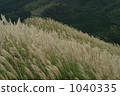 The Susuki of the Sone Plateau 1040335