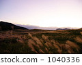 Seshiba of the Sogen Plateau, madder color 1040336