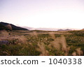 Senzi of the Sone Plateau, golden color 1040338