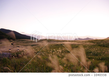Senzi of the Sone Plateau, golden color 1040338