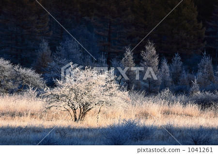 Nikko Odashirogagahara在深秋 1041261