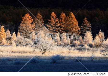 Nikko Odashirogagahara在深秋 1041264