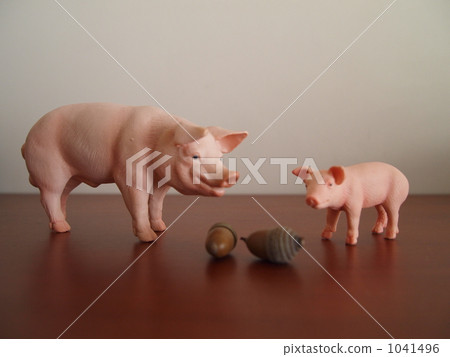 小豬 乳豬 豬 1041496