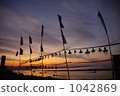Dried mackerel octopus 1042869
