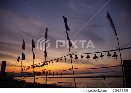 幹鯖魚章魚 1042869