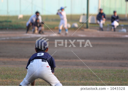 Juvenile baseball Juvenile baseball 1043328