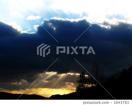 Healed in the early morning of winter Healed in the early morning of winter 1043783