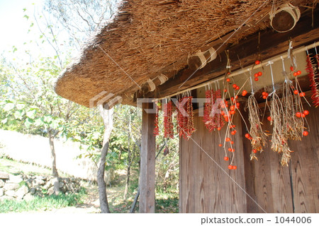 鄉間別墅的優雅風景 1044006