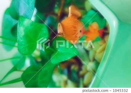 常春藤天使 1045332