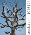 Art tree 1046194
