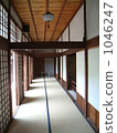 Wooden corridor 1046247