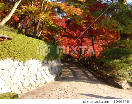 秋天的修善寺彩虹村 秋天的修善寺彩虹村 1046256