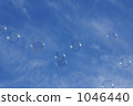 空和肥皂泡沫 1046440