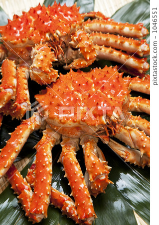 帝王蟹 帝王蟹 1046551