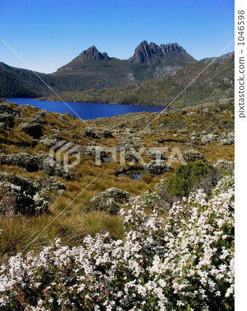 在塔斯馬尼亞島的Caddle山 1046598