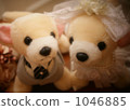 cuddly toy, marriage, married 1046885