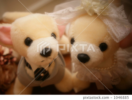 cuddly toy, marriage, married 1046885