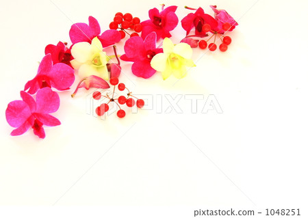 Denfer and Sankei Rai 1048251