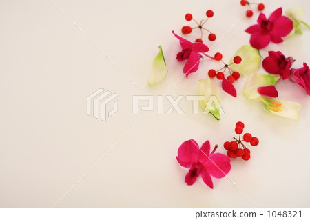 Sankei Rai and Denfare Sankei Rai and Denfare 1048321