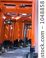 fushimi inari-taisha, senbon-torii gates, shrine 1048858