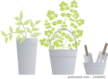Foliage plant Foliage plant 1048991