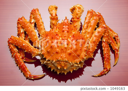 King crab 1049163