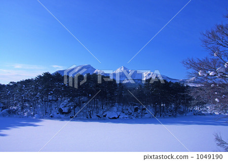 Freezing Goshikuma 1049190