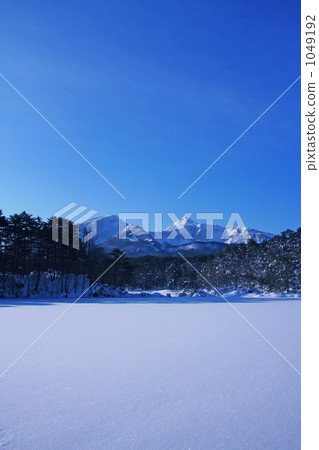 Freezing Goshikuma Freezing Goshikuma 1049192