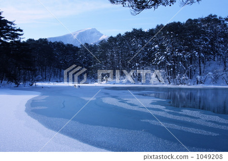 Freezing Goshikuma 1049208