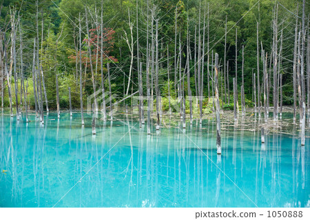 Biei Aoike Biei Aoike 1050888