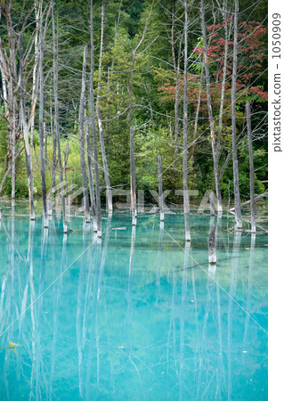 Biei Aoike Biei Aoike 1050909