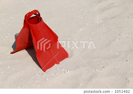 fin, swim fins, thing 1051482