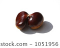 Chestnut  1051956