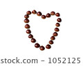 Heart type of chestnut 1052125