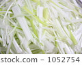 white onion, welsh onion, japanese bunching onion 1052754