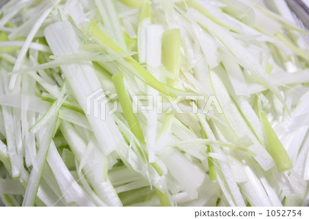 white onion, welsh onion, japanese bunching onion 1052754