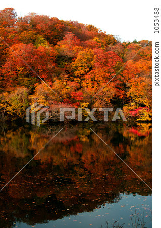 The twelfth lake pond The twelfth lake pond 1053488