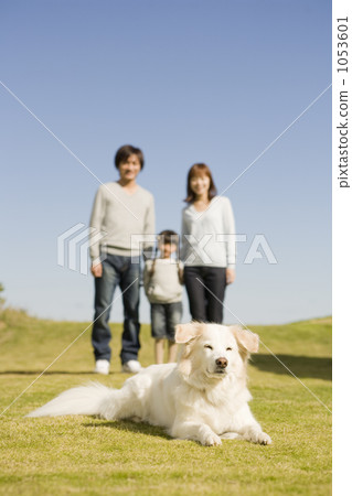 families, family, household 1053601