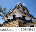 Hikone castle 1054941