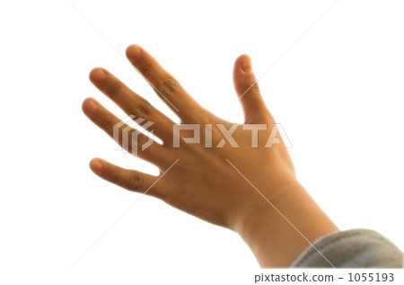 手 手 1055193